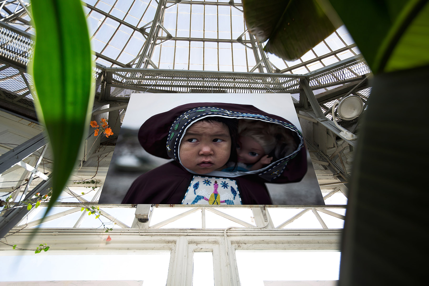 JasonvanBruggen.Ice-In-The-Palm-House-17